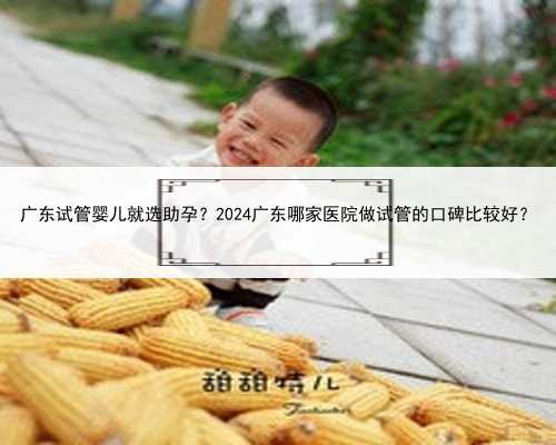 广东试管婴儿就选助孕？2024广东哪家医院做试管的口碑比较好？
